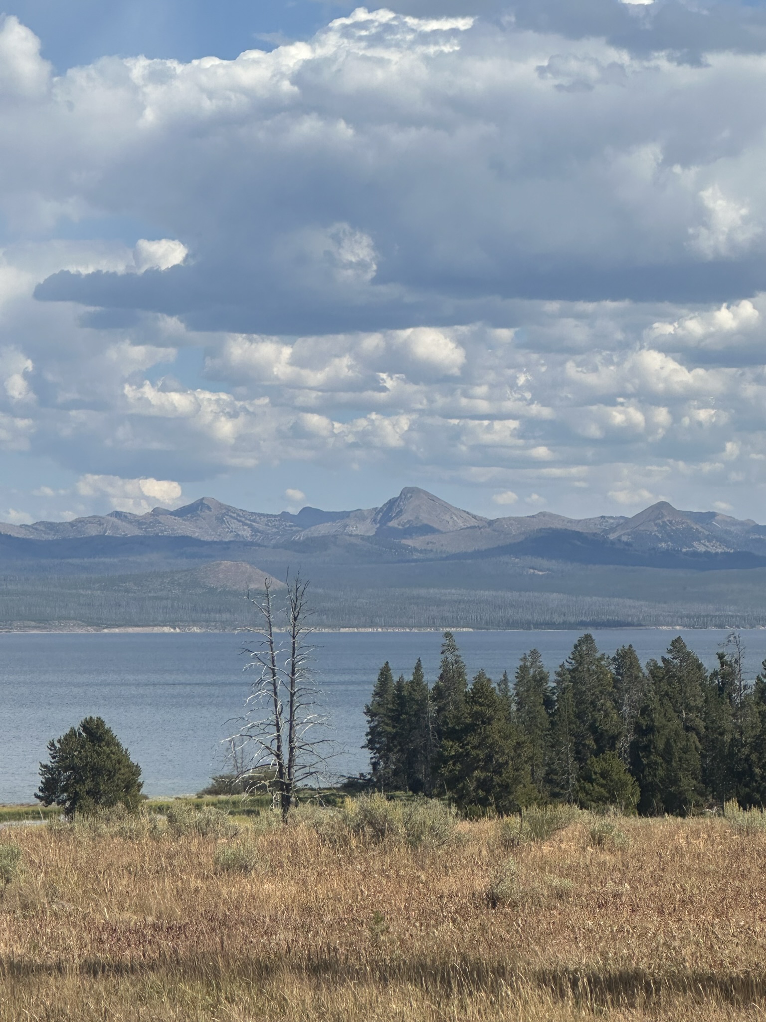 Yellowstone And Grand Teton National Parks - Image 1459